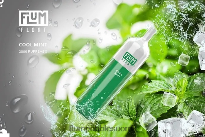 FLUM FLOAT 3000 hengitystä viileä minttu RZ0BL25 | FLUM PEBBLE VAPE PRICE