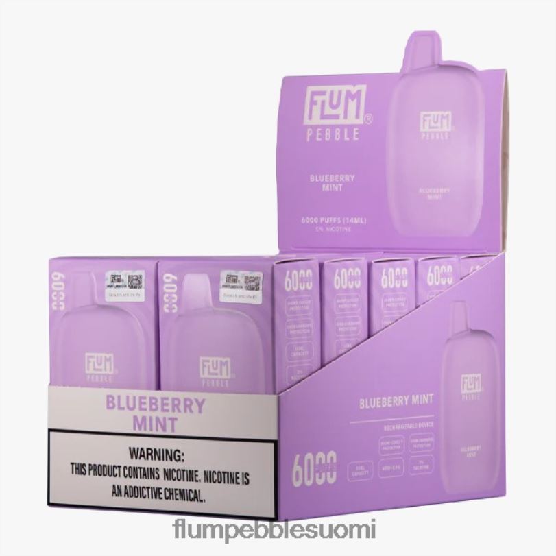 FLUM PEBBLES 6000 puhallusta 10 pakkausta mustikka minttu RZ0BL18 | FLUM PEBBLE VAPE REVIEW
