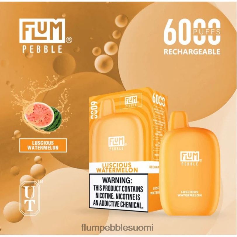 FLUM PEBBLES 6000 suihketta herkullinen vesimeloni RZ0BL50 | FLUM PEBBLE VAPE WHOLESALE