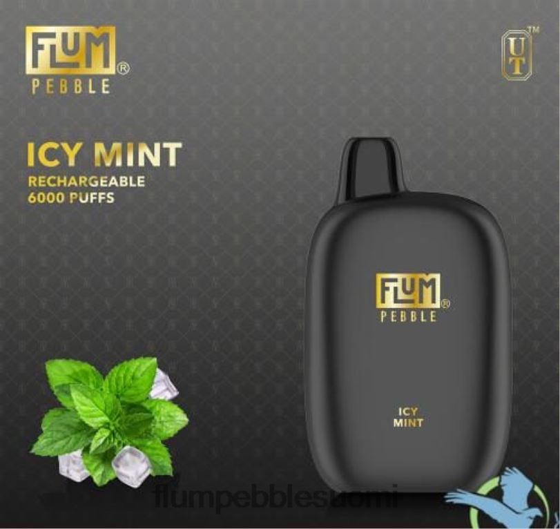 FLUM PEBBLES 6000 suihketta jäinen minttu RZ0BL49 | FLUM PEBBLE VAPE WEBSITE