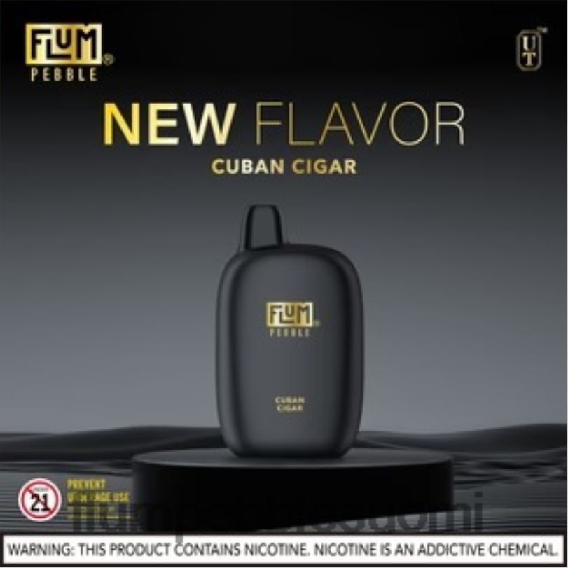 FLUM PEBBLES 6000 suihketta kuubalainen sikari RZ0BL29 | FLUM PEBBLE VAPE WEBSITE