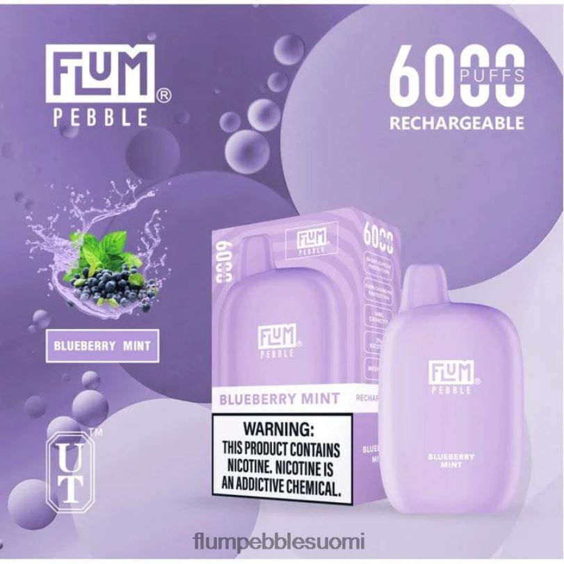 FLUM PEBBLES 6000 suihketta mustikka minttu RZ0BL17 | FLUM PEBBLE VAPE FLAVORS