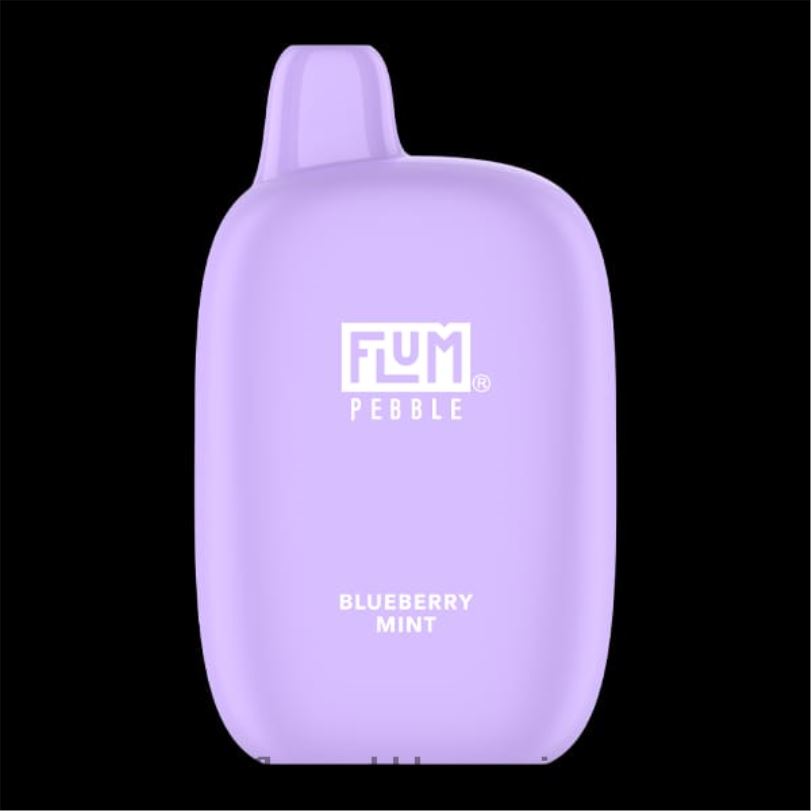 FLUM PEBBLES 6000 suihketta mustikka minttu RZ0BL17 | FLUM PEBBLE VAPE FLAVORS