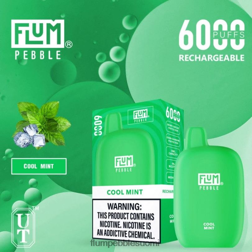 FLUM PEBBLES 6000 suihketta viileä minttu RZ0BL24 | FLUM PEBBLE VAPE NEAR ME