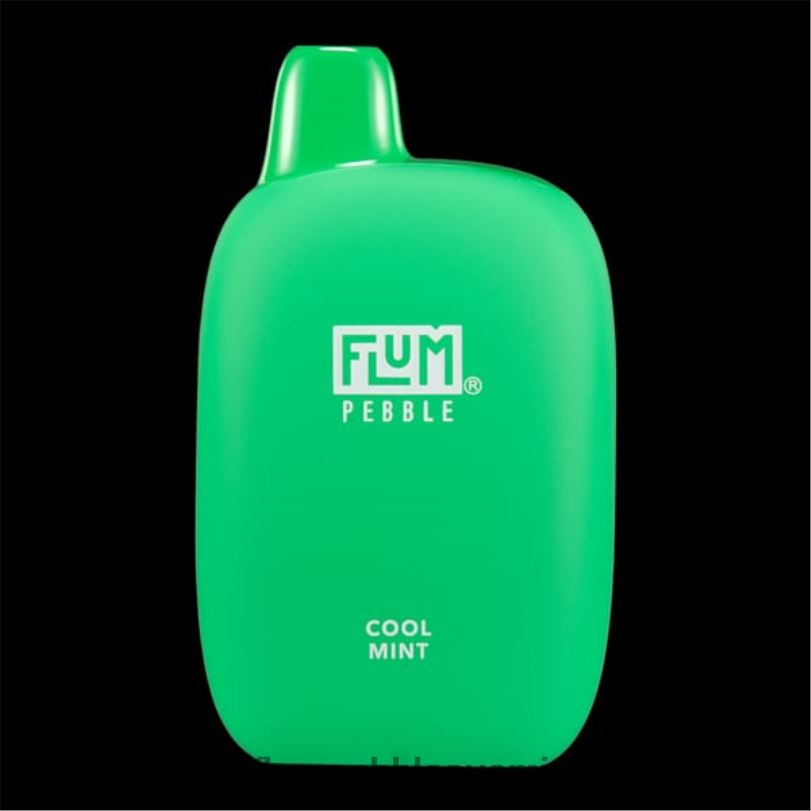 FLUM PEBBLES 6000 suihketta viileä minttu RZ0BL24 | FLUM PEBBLE VAPE NEAR ME